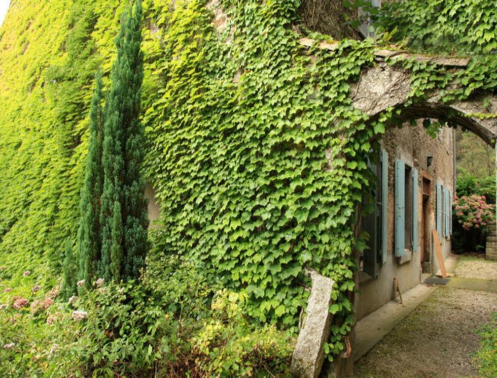 L'Affable Les Cammazes Bed and Breakfast Buitenkant foto
