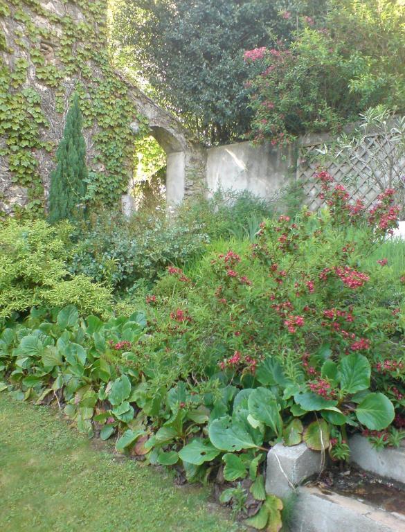 L'Affable Les Cammazes Bed and Breakfast Buitenkant foto