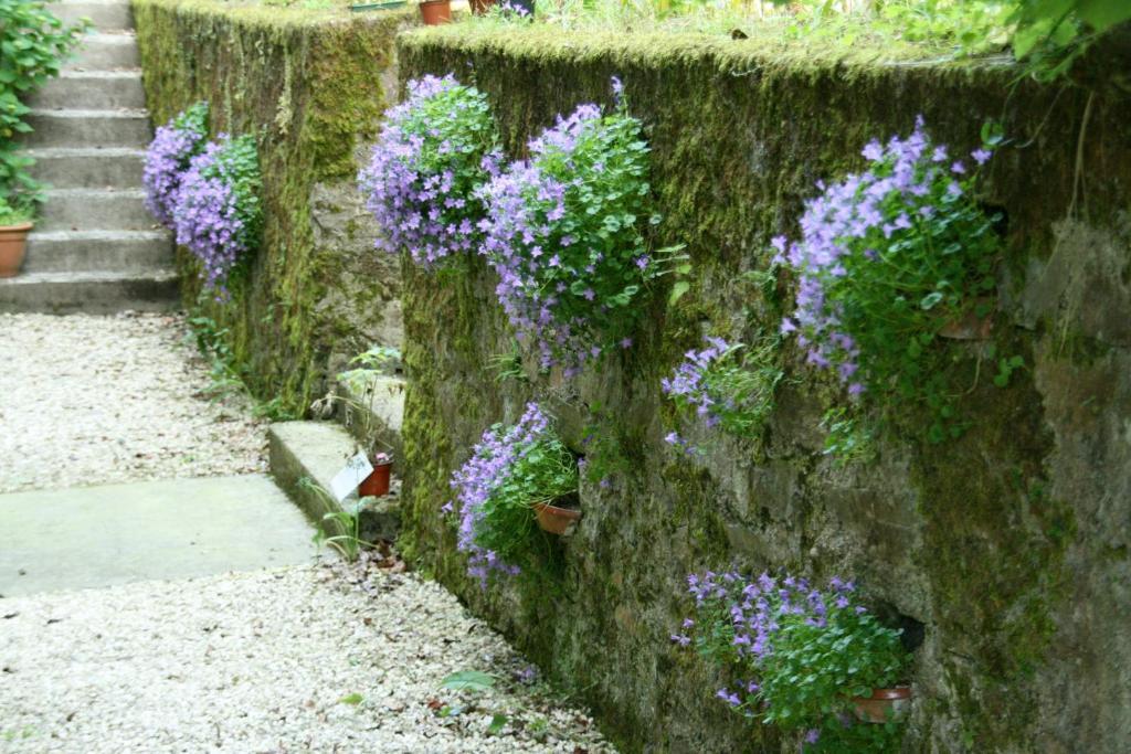 L'Affable Les Cammazes Bed and Breakfast Buitenkant foto